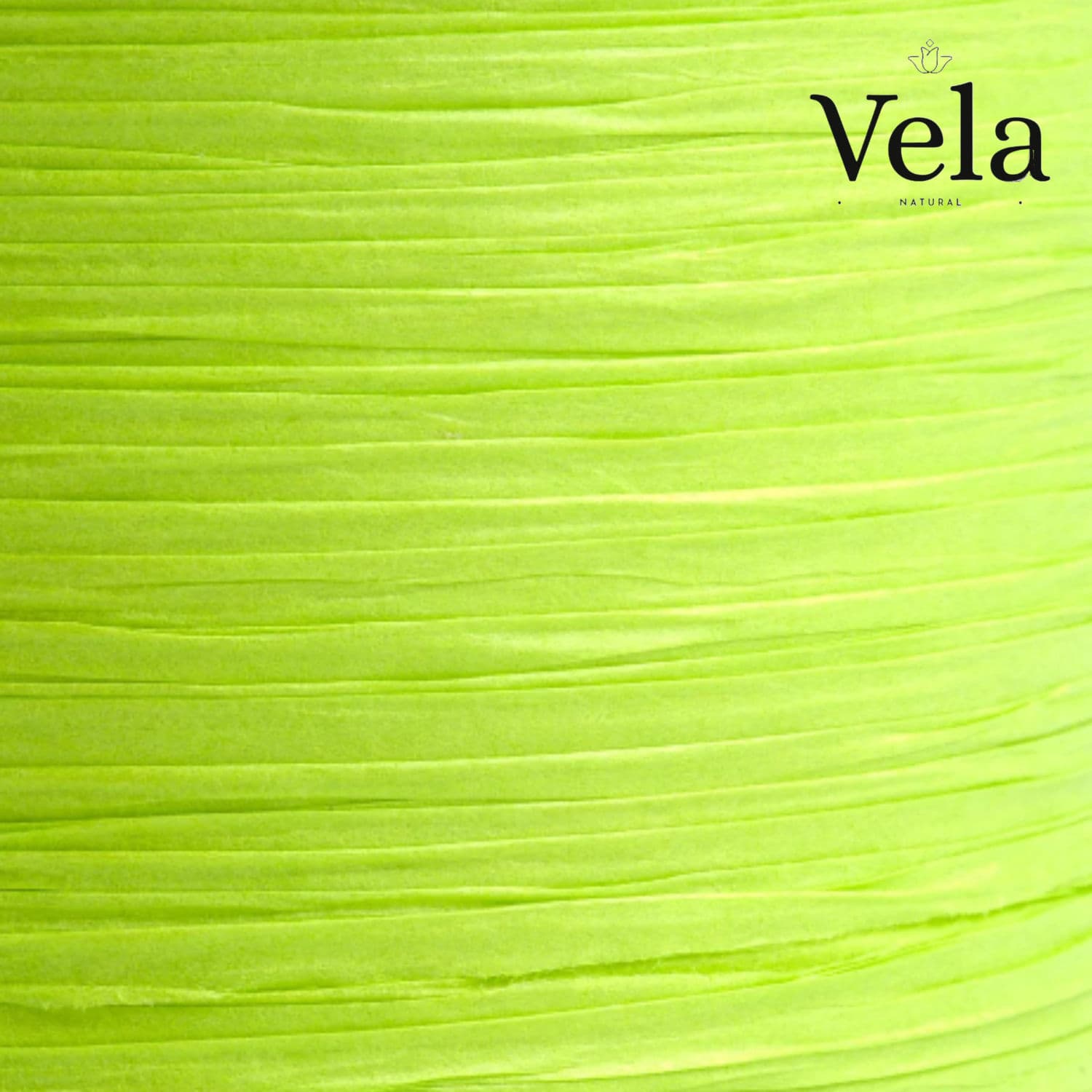 Compostable Ribbon: Lime Green thumbnail 1