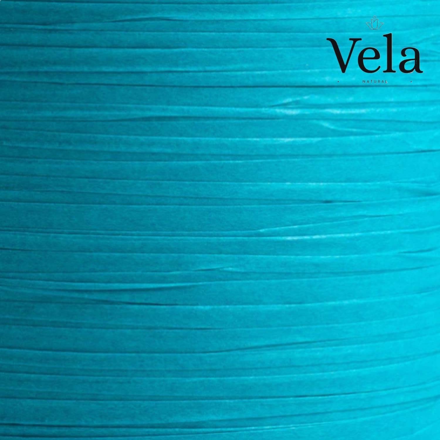 Compostable Ribbon: Turquoise thumbnail 1