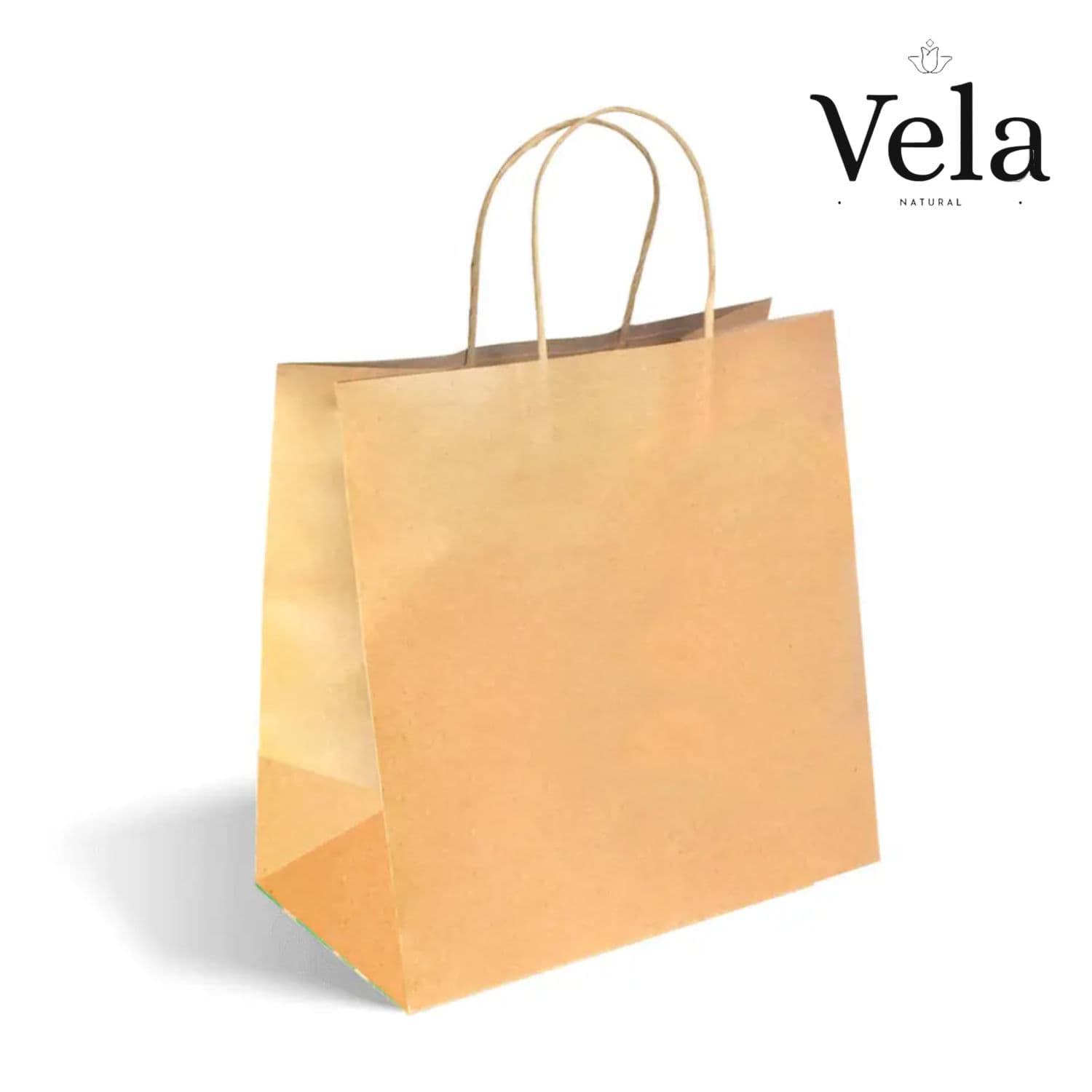 300x170x305mm Large Twist Handle Kraft Paper Bags
