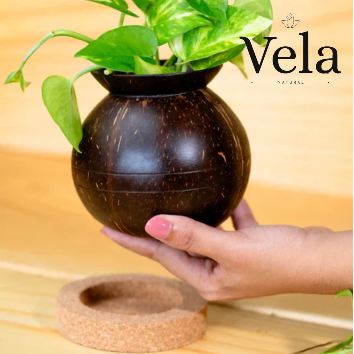 Plant Pot with Cork Tray - 1 Pack thumbnail 1