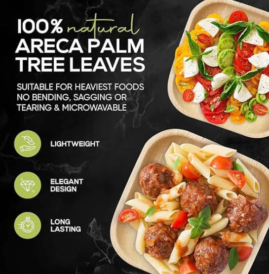 8" / 20 cm Square Palm Leaf Disposable Plate - 100 Pack product image 4