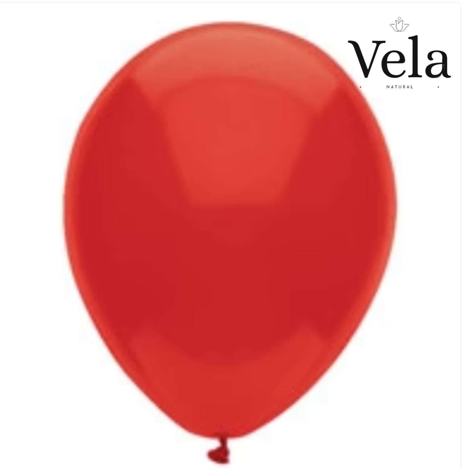 Biodegradable Balloons: Red (10 pack)