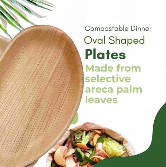 Large Oval Disposable 10" (25cm) Bamboo Palm Leaf Plates - 100 Pack product image 4