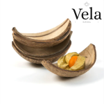 Coconut Shell Boats 10cm Semi Polished