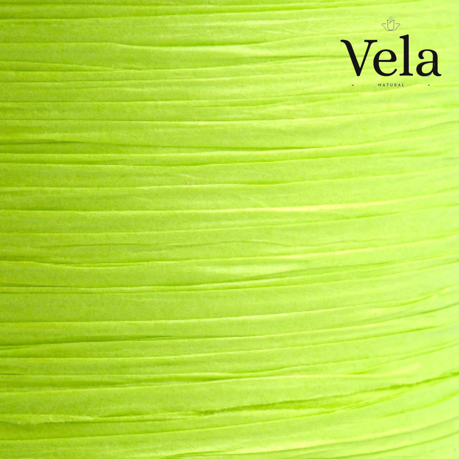 1 Compostable Ribbon: Lime Green - Image 1