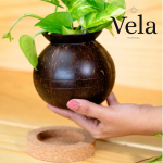 Plant Pot with Cork Tray