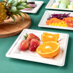 15cm (6") Disposable Square Small Bagasse Plate - Image 2