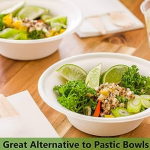 16oz (500ml) Compostable Large Round Bagasse Bowls - Image 2