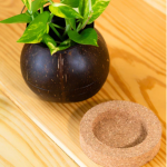 Plant Pot with Cork Tray - Image 4
