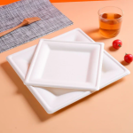 20cm (8") Compostable Square Bagasse Disposable Plates - Image 2