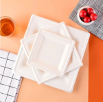 20cm (8") Compostable Square Bagasse Disposable Plates - Image 5