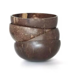 Jumbo Polished Coconut Bowl 500ml - Image 3