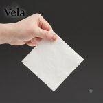 White 2-ply Paper Napkins
