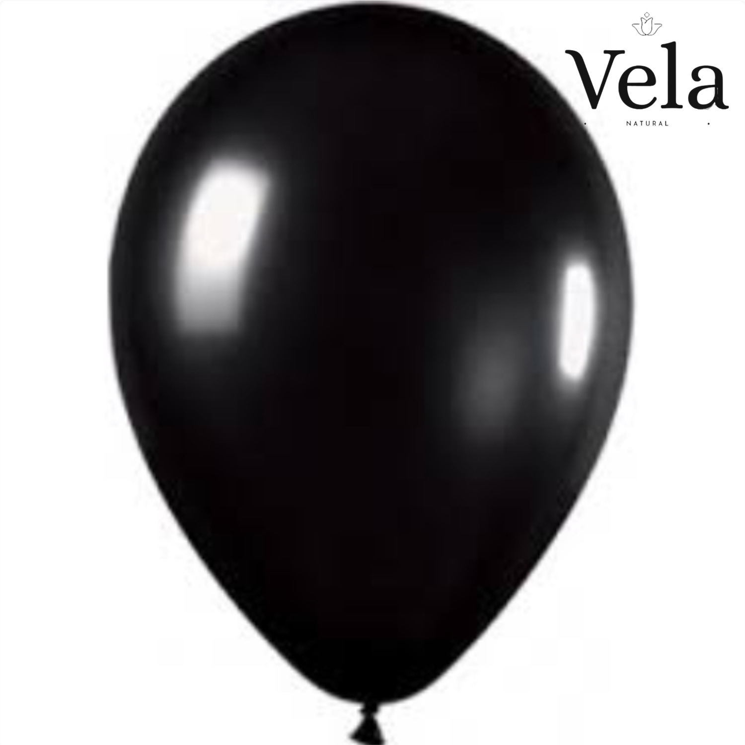 Biodegradable Balloons Black (100 pack) Biodegradable Balloons: Black (100 pack) - Image 1