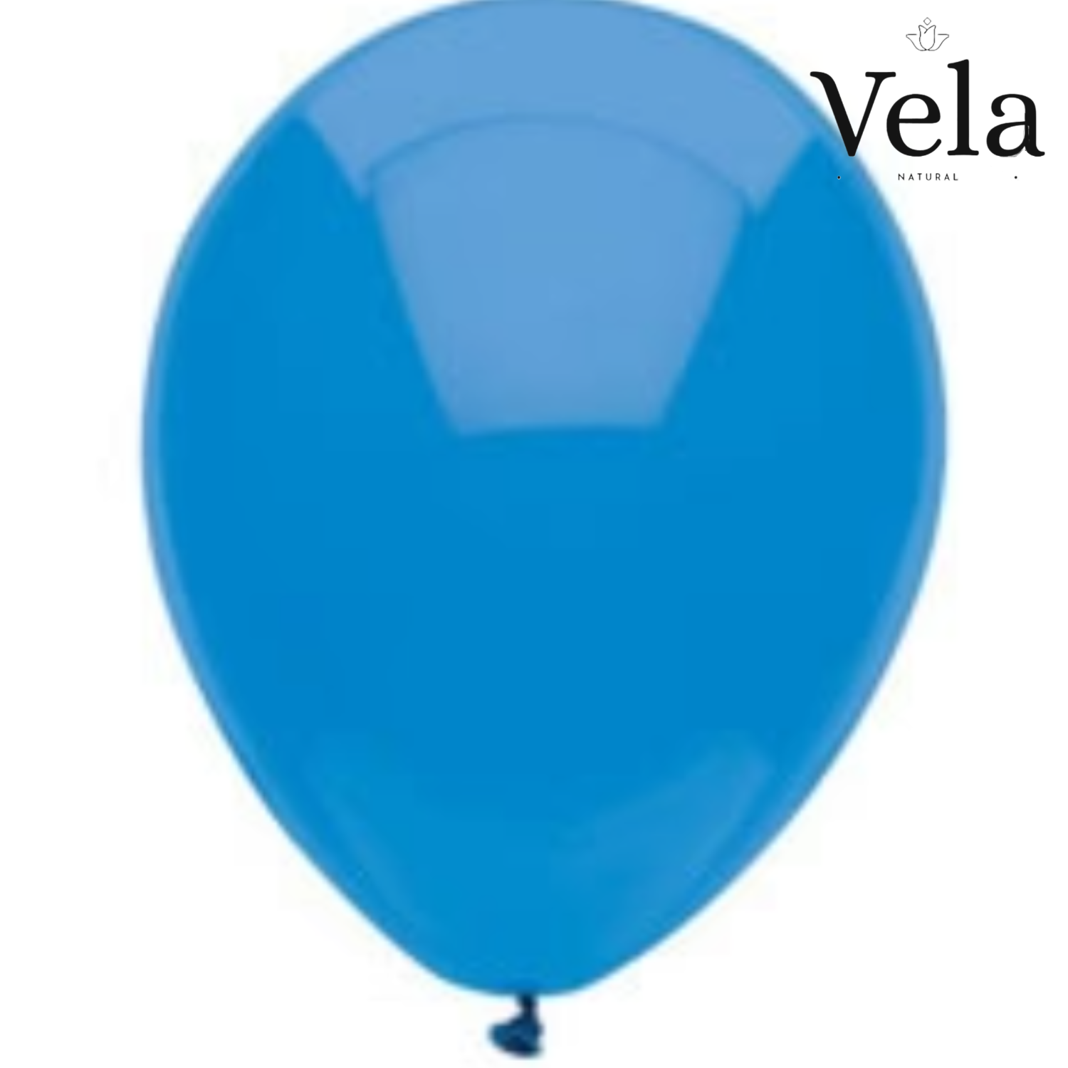 Biodegradable Balloons Blue (100 pack) Biodegradable Balloons: Blue (100 pack) - Image 1