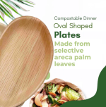 Large Oval Disposable 10" (25cm) Bamboo Palm Leaf Plates - Image 4